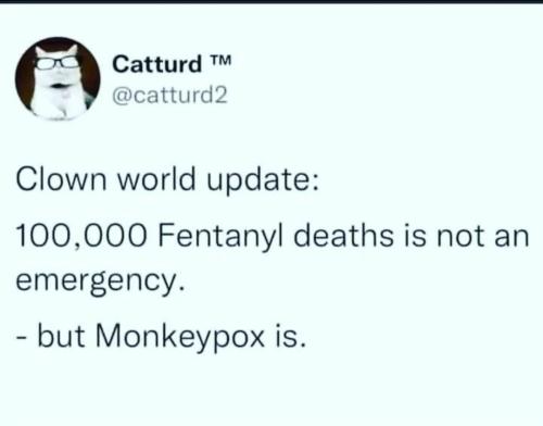 Screenshot_2022-08-09-14-49-47-151_com.instagram.android~2