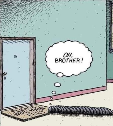 299656994_171174975436749_8205383722488075038_n