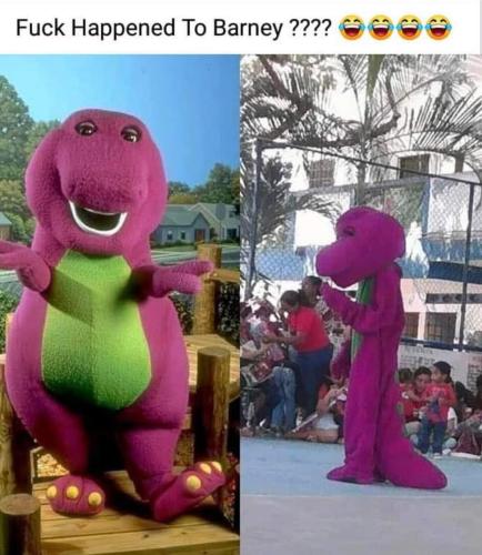 FB_IMG_1661803525523