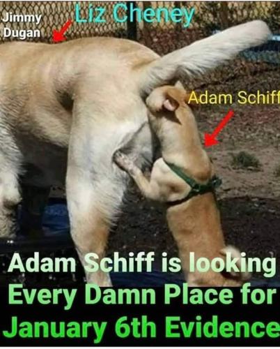 FB_IMG_1661868350724