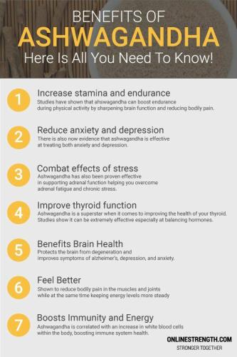 12:21:04 GMT-0500 (CDT)