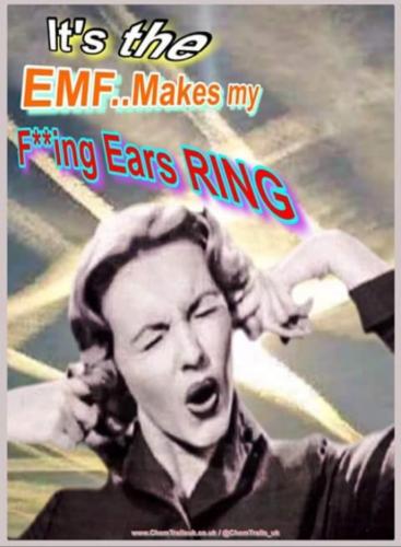 Screenshot_20220812-170846_MeWe