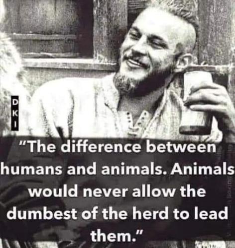 FB_IMG_1661358389010