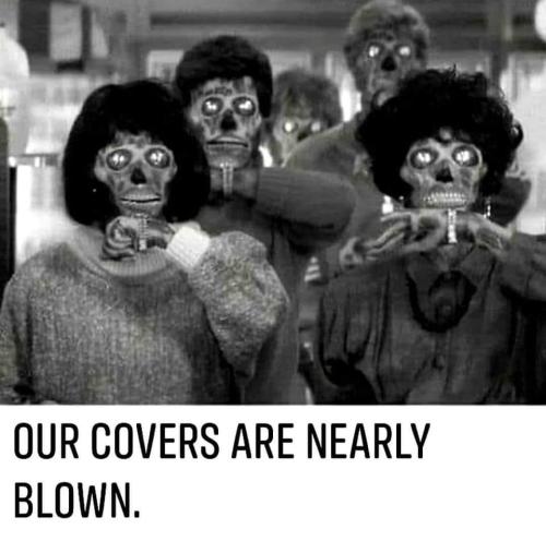 FB_IMG_1659881952028