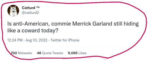 snapshot_twitter.com_1660167462265