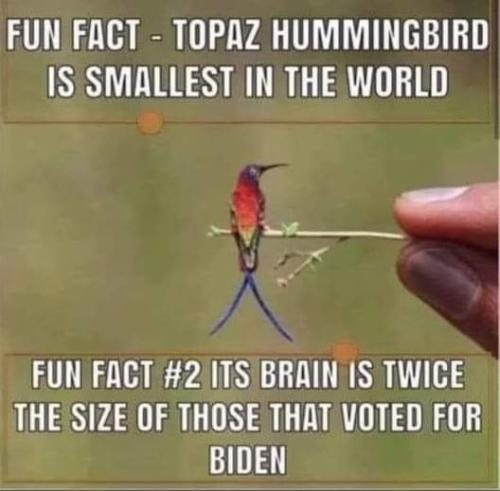 FB_IMG_1660322434920