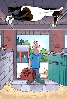 13680845_10209802767566695_164879654446882765_n