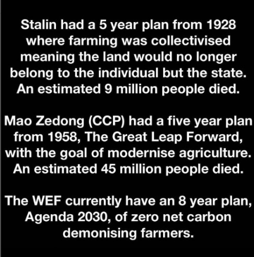 captures_chrome-capture-2022-7-18 (10)