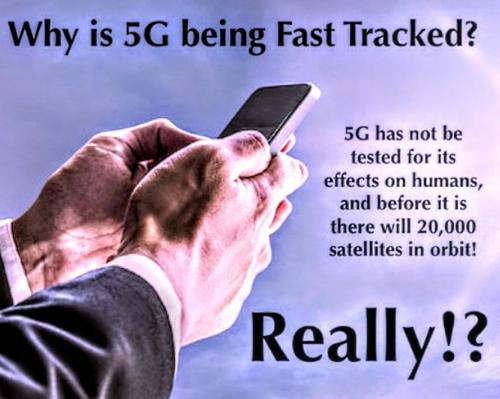 Screenshot_2022-08-09-14-45-25-781_com.google.android.apps.photos~2