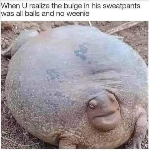 FB_IMG_1660853985629