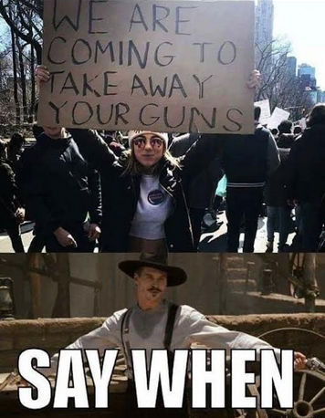 we are coming to take away your guns00