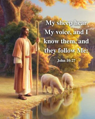 FB_IMG_1661476729898