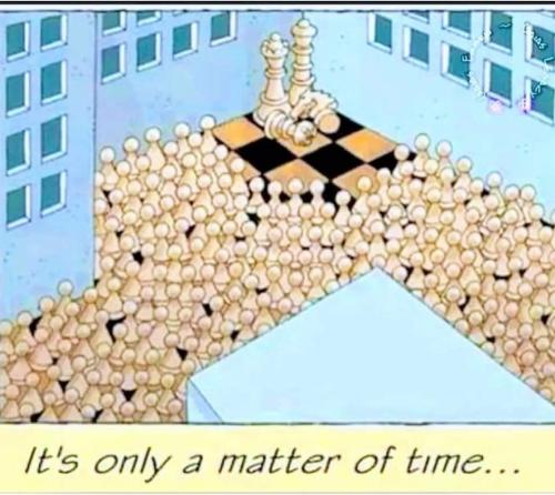 FB_IMG_1660670356220