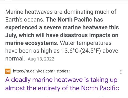 Screenshot_2022-08-29-14-12-20-028_com.android.chrome~2