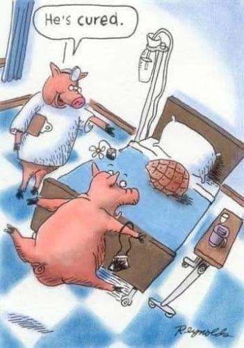 298529492_3222325931418990_345536240635392445_n