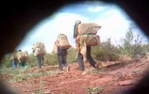 0DIOXZCSSYyrbzb32EO0Jw