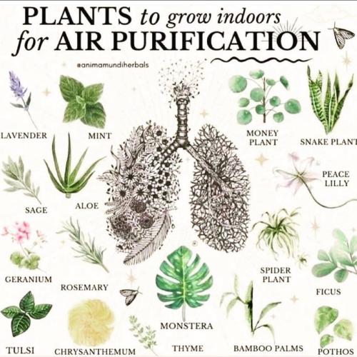 299184269_3146031052375975_1138312041918765552_n