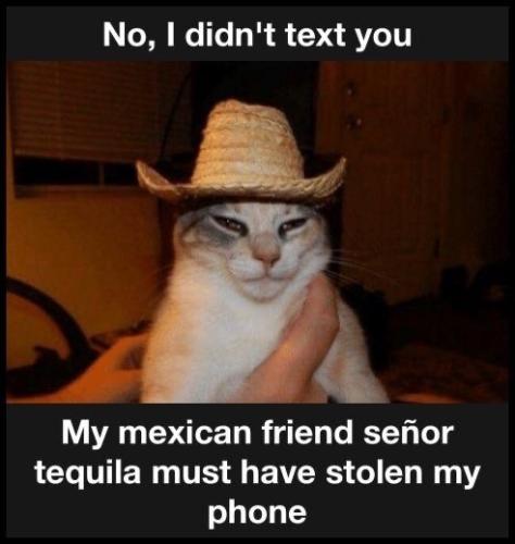 tumblr_f055cda27faba6677d52db7bcb2e9f52_13de2c45_500