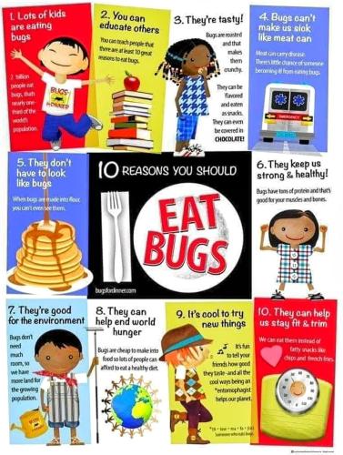 Screenshot_2022-08-19-07-06-45-262_com.facebook.mlite~2