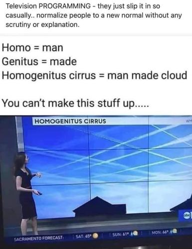 FB_IMG_1661726083968