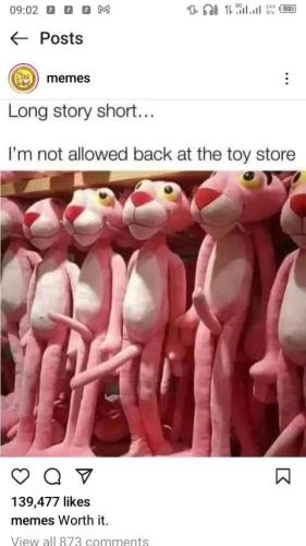 FB_IMG_1660771514748