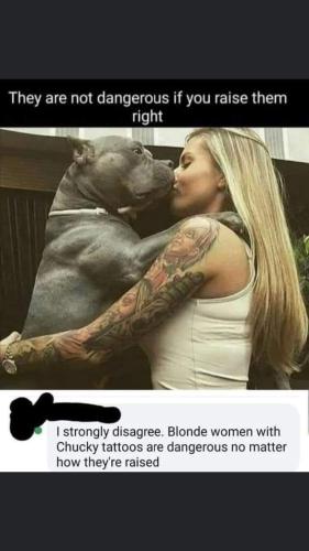 FB_IMG_1660149030722