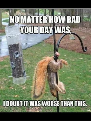 FB_IMG_1661956840949