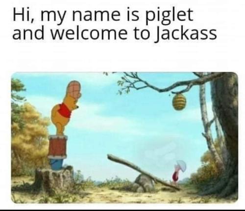FB_IMG_1659540606252