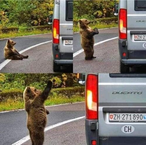 300269137_541861991070606_7160499176212512671_n