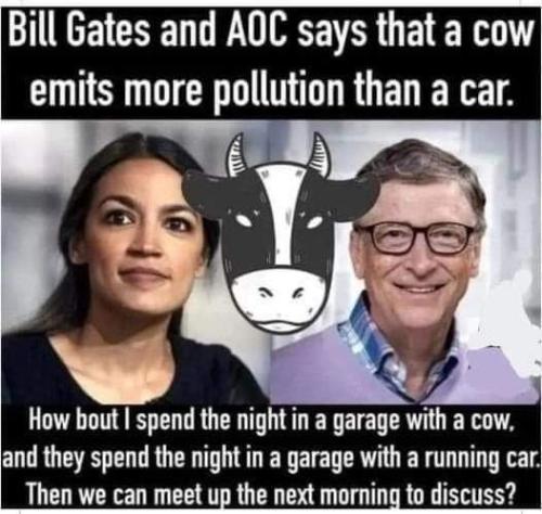 FB_IMG_1659764245222