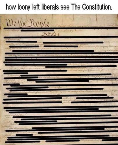 constitution11