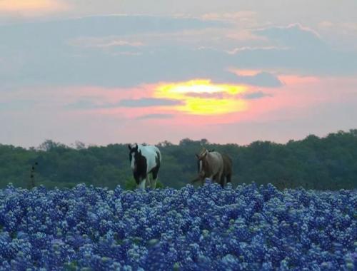 VkZ31dAbNmSWsOEBHjwxUQ