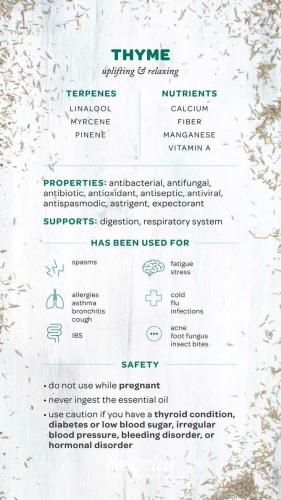 20:04:37 GMT-0500 (CDT)