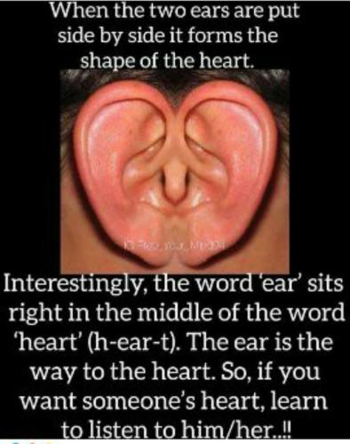 Screenshot_2022-08-06-10-26-42-055_com.mobisystems.fileman~2