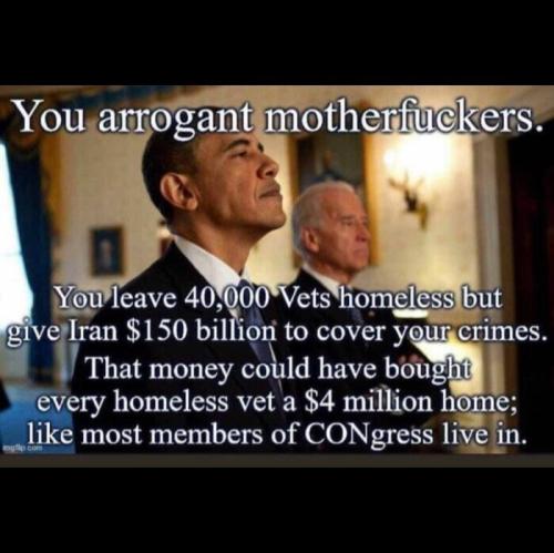 Obama Biden 1