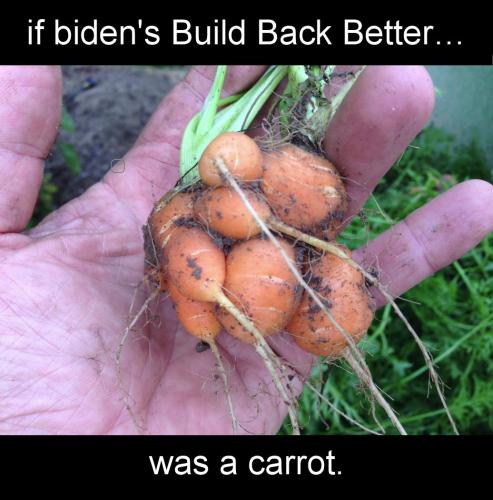 buildbackbetter74