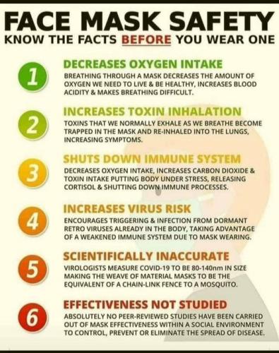 Mask Safety 1
