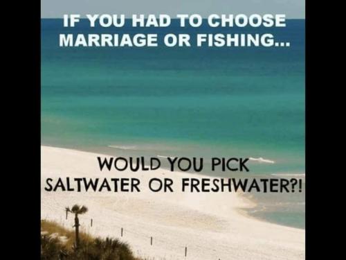 FB_IMG_1660927037154