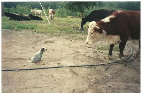 2NHV8qCEPmG20qL83OioyQ