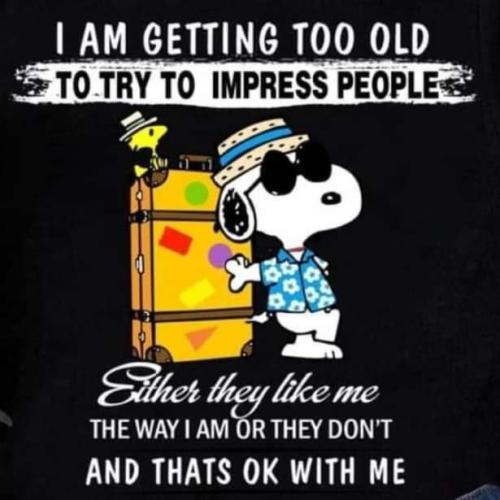 FB_IMG_1660687155674