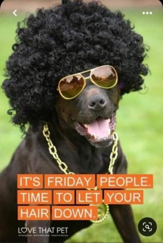 Screenshot_20220812-200110_MeWe