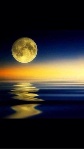 ,                                                                                                                                                                                                                          0 o