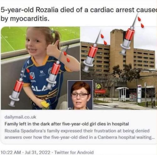 FB_IMG_1659411236097