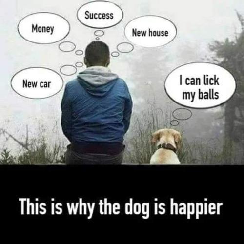 FB_IMG_1661544778779