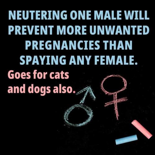 FB_IMG_1660132056502