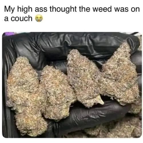 20:02:31 GMT-0400 (EDT)