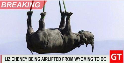 299977035_2321815534636102_1759772615010516749_n