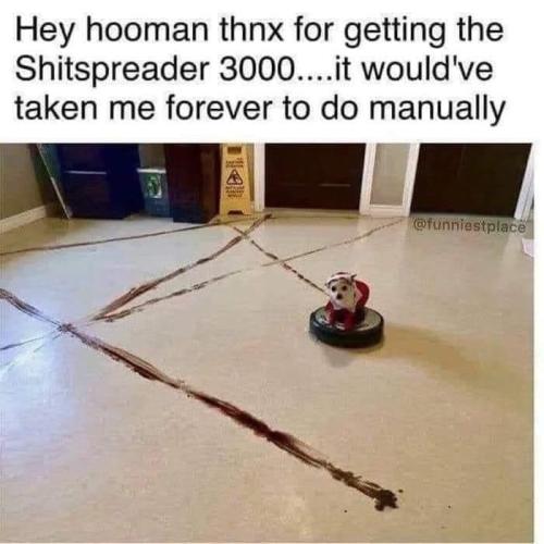 FB_IMG_1660877189737