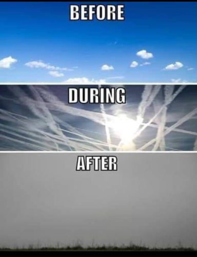 Screenshot_20220722-181732~2