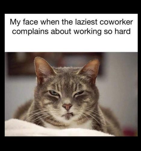 FB_IMG_1661787474357